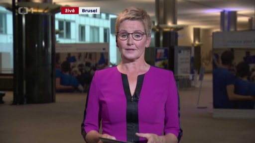 Témata volební kampaně v Německu