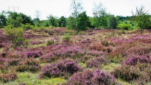 Změny v Národních parcích