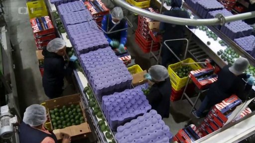 Mexiko bojuje proti americkým clům