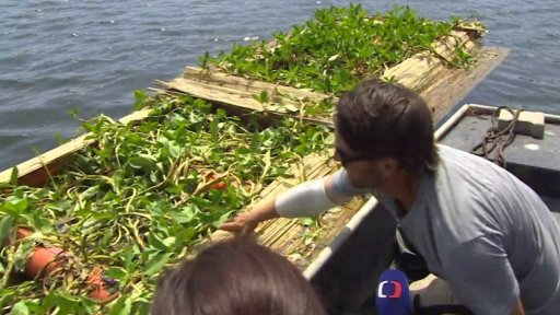 Nová metoda proti sinicím