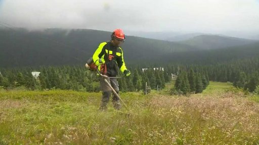 Projekt na obnovu fauny a flóry na hřebenech Jeseníků