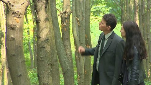 Housenky ničí lesy na jižní Moravě