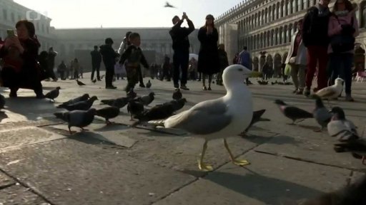 Pokuta za kávu v Benátkách