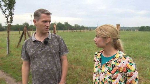 Plán na výsadbu 10 milionů stromů v Česku