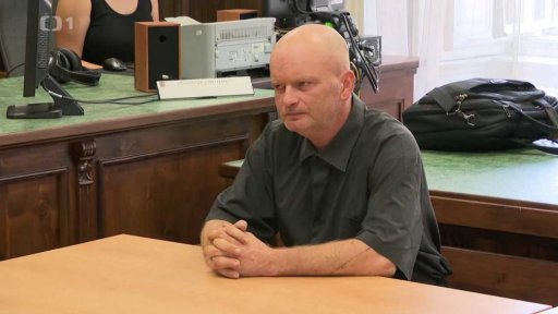 Trest za hajlování na akci SPD