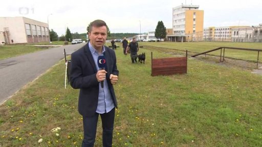 Psi na hledání mobilů