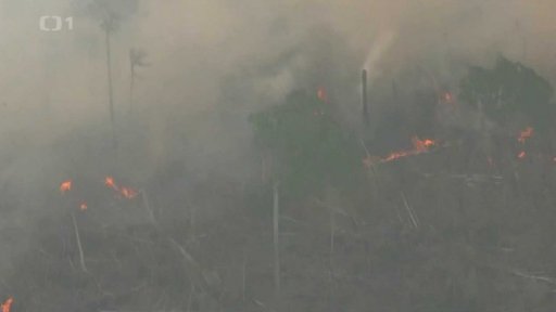 Požáry pustoší pralesy v Amazonii