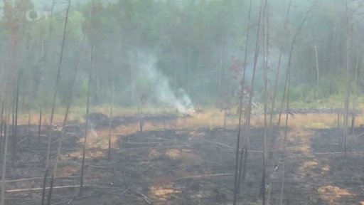 Rozsáhlé požáry jako globální problém