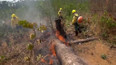 Peníze na boj s požáry v Amazonii
