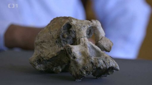 Prapředek moderních lidí