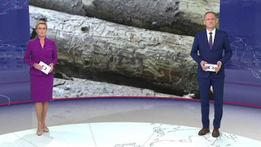 Lesy zničené suchem a kůrovcem