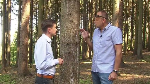 Lesy zničené suchem a kůrovcem