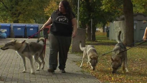 Kritika novely veterinárního zákona