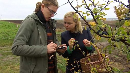 Aplikace pomůže při sklizni