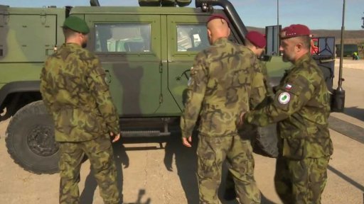 Cvičení vojáků v Maďarsku