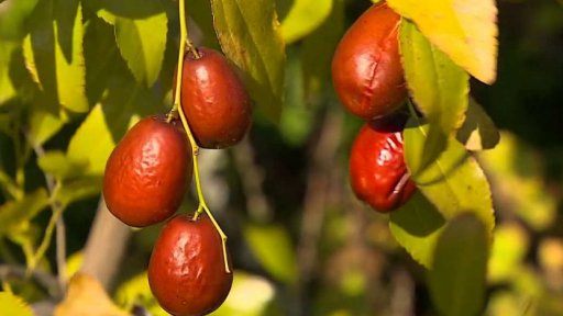 Vydrží rekordně teplé počasí?