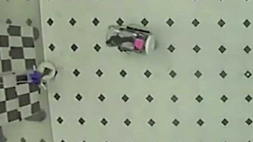 Potkani se naučili ovládat miniaturní auto