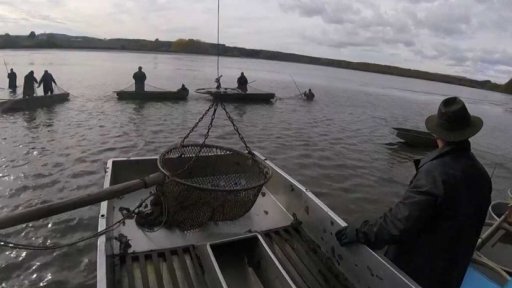 Kontroly dodržování pravidel výlovu