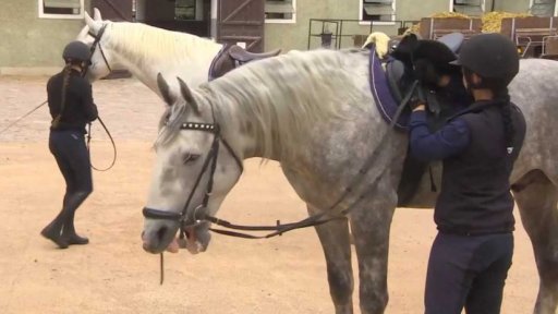 Zápis hřebčína v Kladrubech na seznam UNESCO