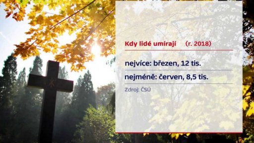 Úmrtnost v Česku klesá
