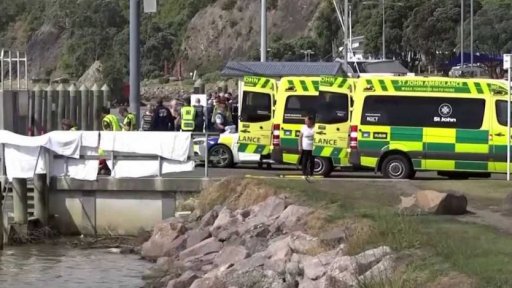 Erupce novozélandské sopky