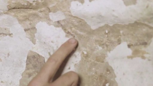 Nástěnná malba na Sulawesi