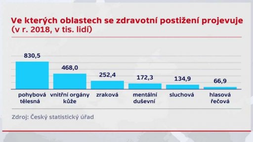 Lidé s postižením