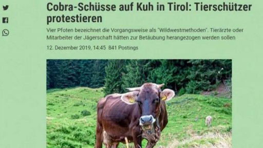 Zásah jednotky proti splašenému dobytku