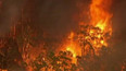 Požáry v Austrálii