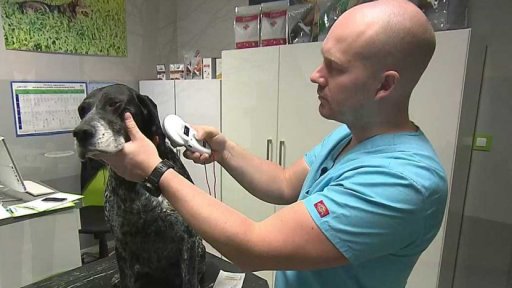 Centrální registr psů