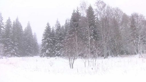 Zima na Churáňově