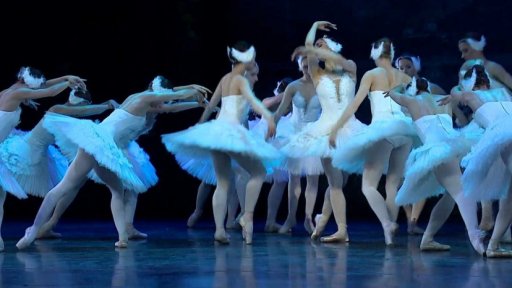 Labutí jezero v Brně