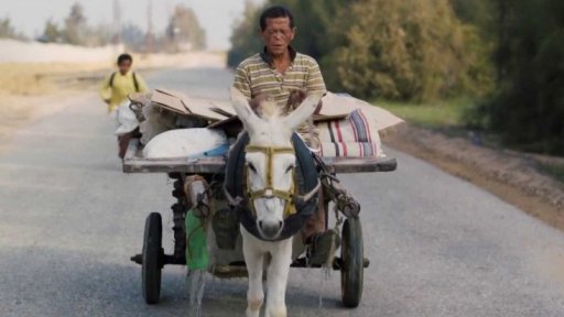 Filmová přehlídka Arabské noci