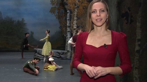 Labutí jezero v Národním divadle