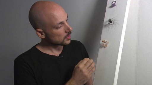 Rituals od Zorya v GASK