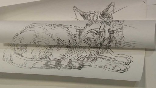 Obrazy Markéty Hlinkovské