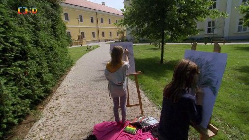 Téma týden - Vystoupíte na ZUŠ Open? A jak jste se připravovali?