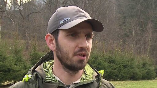 Odchyt medvědice v Beskydech