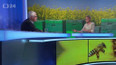 Včely vymírají, nastane katastrofa?
