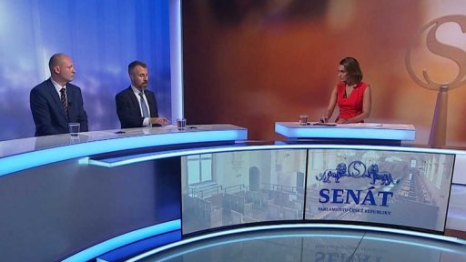 Senátoři, strážci auditů?