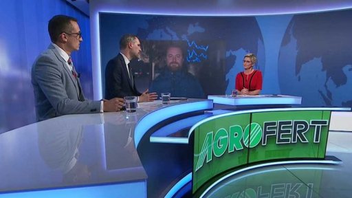 Horký brambor – audit