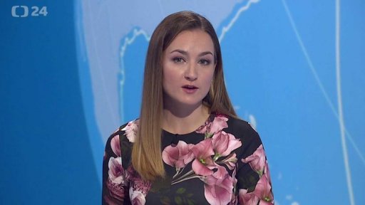 Zpravodajský servis