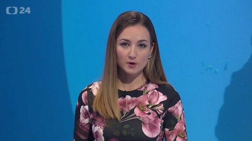 Zpravodajský servis