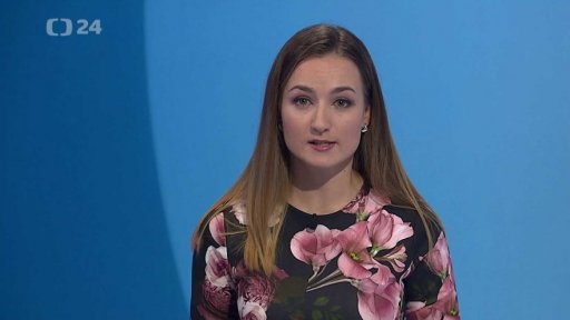 Zpravodajský servis