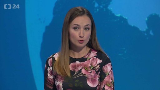 Zpravodajský servis