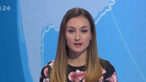 Zpravodajský servis