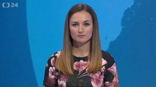 Zpravodajský servis