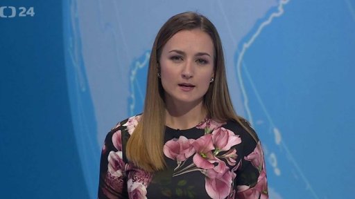 Zpravodajský servis