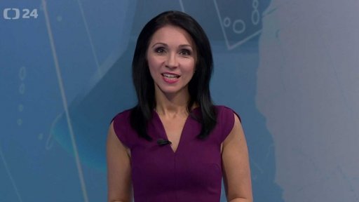 Zpravodajský servis