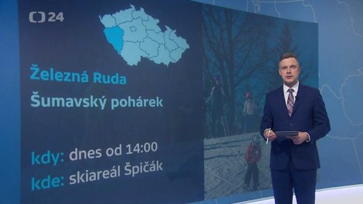 Zpravodajský servis